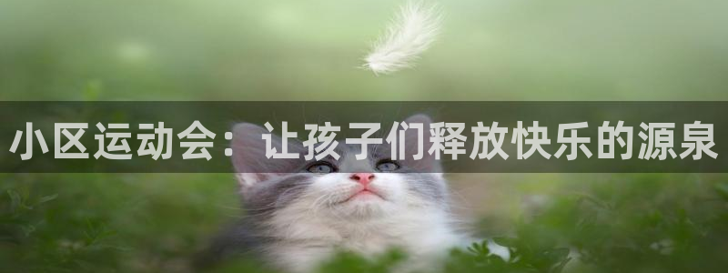 凯捷体育开户：小区运动会：让孩子们释放快乐的源泉