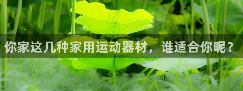凯捷体育平台是正规平台吗知乎