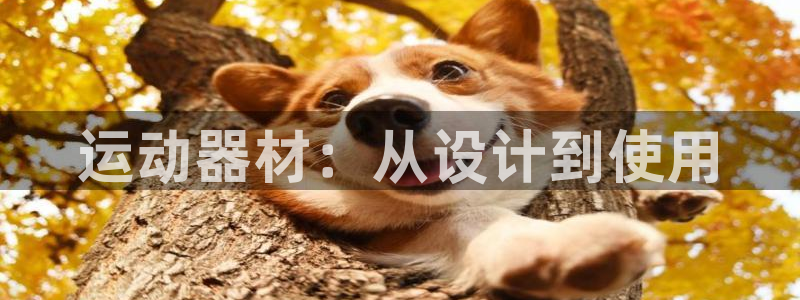 凯捷体育平台