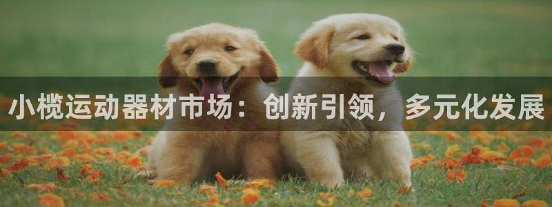 凯捷体育平台注册要钱吗安全吗：小榄运动器材市场：创新