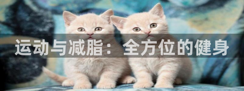 凯捷体育娱乐首页网站大全