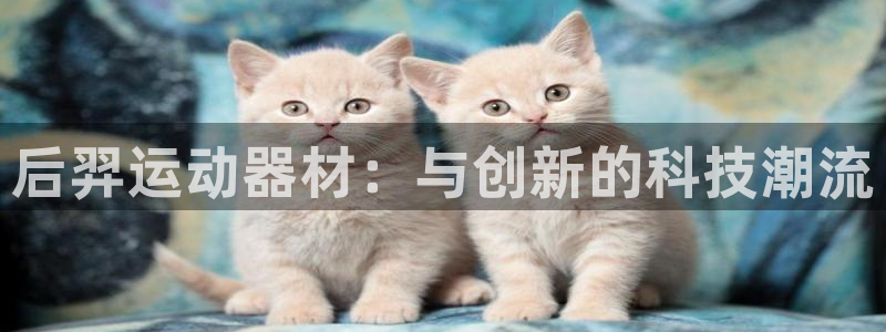 凯捷体育：后羿运动器材：与创新的科技潮流