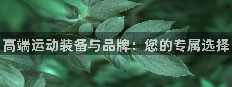 凯捷体育是干嘛的公司