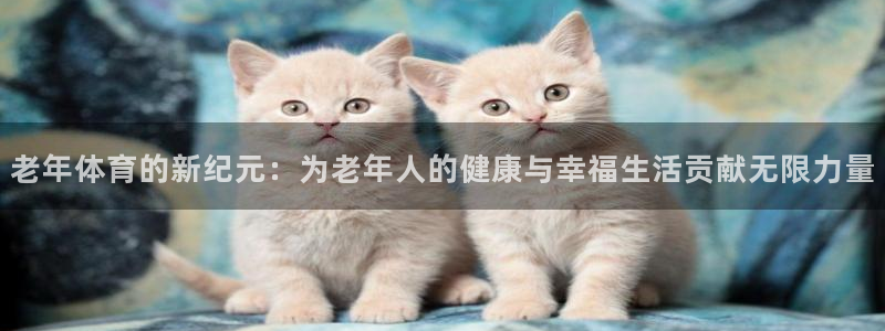 凯捷体育集团E.ON