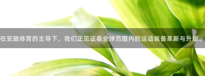 凯捷体育集团