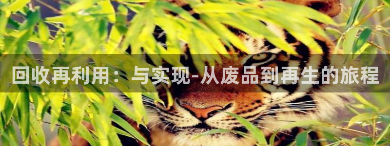 凯捷体育招商电话是多少