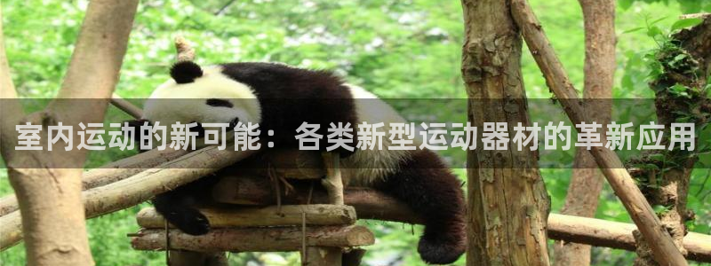 凯捷体育平台是正规平台吗安全吗：室内运动的新可能：各类新型运