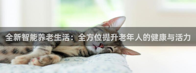 凯捷体育注册：全新智能养老生活：全方位提升老年人的健