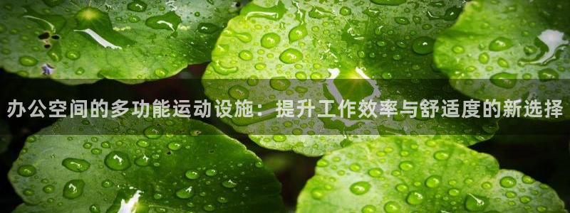 凯捷体育集团官网网址：办公空间的多功能运动设施：提升