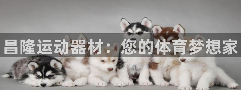 凯捷体育平台假的吗是真的吗吗：昌隆运动器材：您的体育