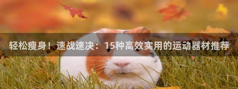 意昂集团官网：轻松瘦身！速战速决：15种高效实用的运