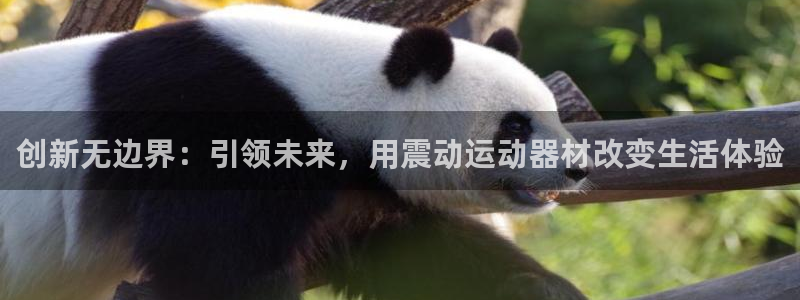 凯捷体育招商电话：创新无边界：引领未来，用震动运动器