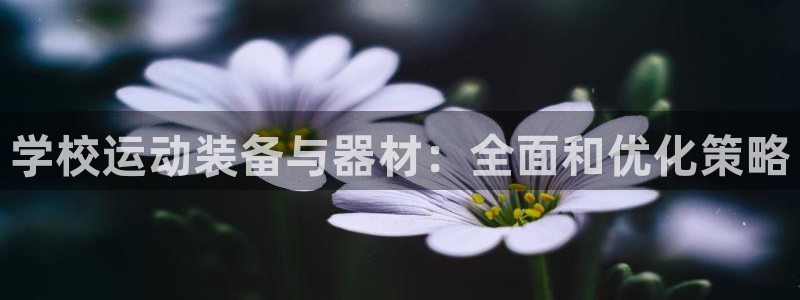凯捷体育平台注册要钱吗：学校运动装备与器材：全面和优