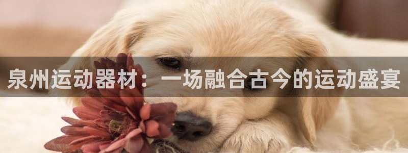 海南凯捷体育：泉州运动器材：一场融合古今的运动盛宴