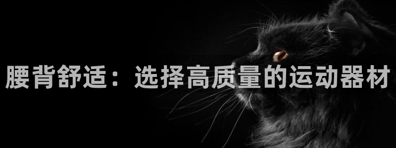 凯捷体育神州