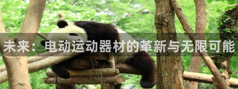凯捷体育娱乐首页官网下载：未来：电动运动器材的革新与无限可能