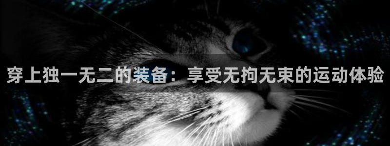 意昂平台体育：穿上独一无二的装备：享受无拘无束的运动体验