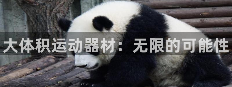 凯捷体育是干嘛的公司