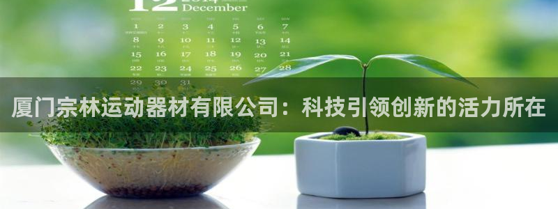 凯捷体育官网：厦门宗林运动器材有限公司：科技引领创新的活力所