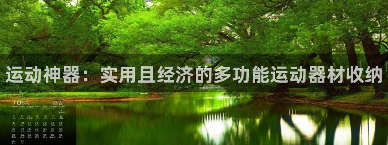 意昂集团官网：运动神器：实用且经济的多功能运动器材收纳