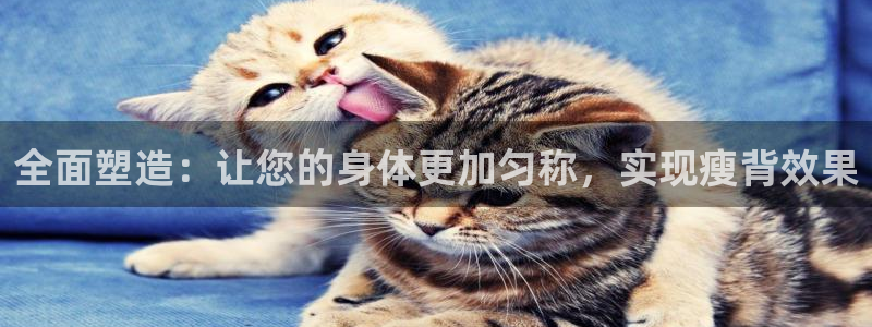 凯捷体育官网：全面塑造：让您的身体更加匀称，实现瘦背效果