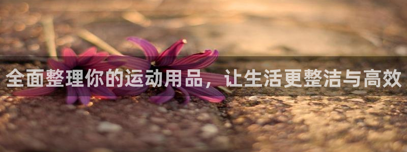 凯捷体育开户
