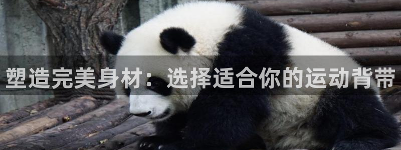 凯捷体育招商电话号码：塑造完美身材：选择适合你的运动背带