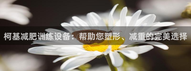 海南凯捷体育发展怎么样：柯基减肥训练设备：帮助您塑形、减重的