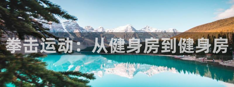 凯捷体育娱乐首页官网下载：拳击运动：从健身房到健身房