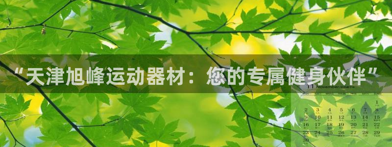 凯捷体育娱乐：“天津旭峰运动器材：您的专属健身伙伴”