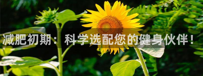 凯捷体育集团官网网址