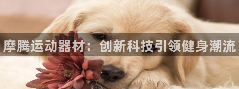 凯捷体育娱乐首页网站大全：摩腾运动器材：创新科技引领
