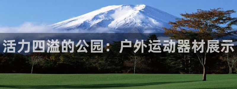 凯捷体育招商电话:活力四溢的公园:户外运动器材展示