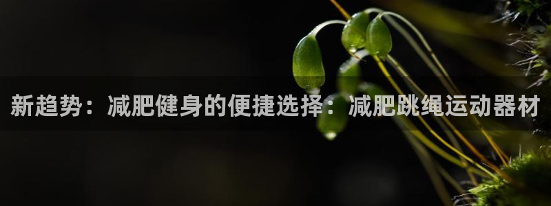 凯捷体育娱乐是那个系列的台子