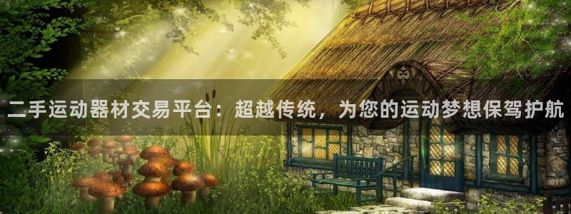 凯捷体育神州：二手运动器材交易平台：超越传统，为您的