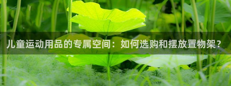 凯捷体育联系电话：儿童运动用品的专属空间：如何选购和