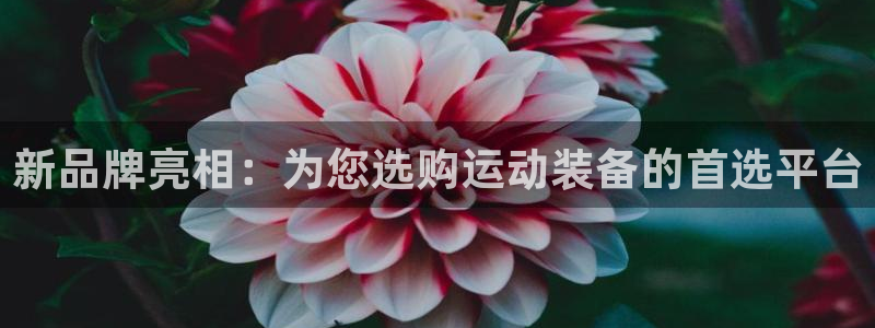凯捷体育官方：新品牌亮相：为您选购运动装备的首选平台