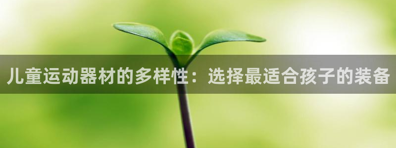 凯捷体育集团简介：儿童运动器材的多样性：选择最适合孩