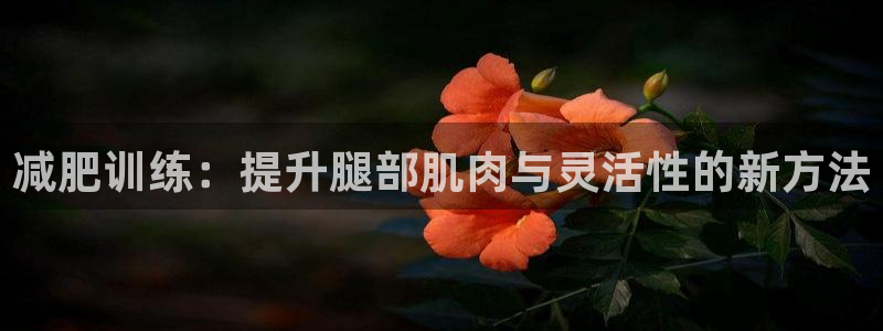 凯捷体育官方客服电话：减肥训练：提升腿部肌肉与灵活性