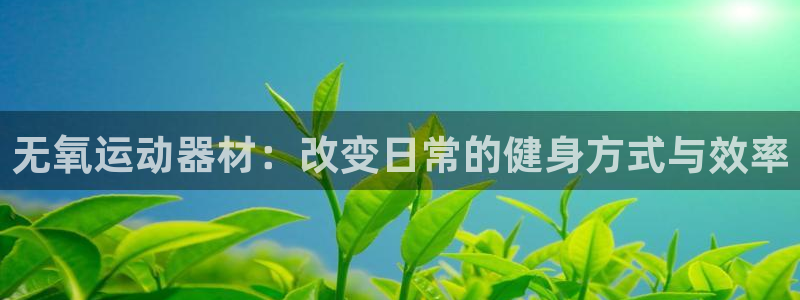 凯捷体育平台注册流程图：无氧运动器材：改变日常的健身方式与效