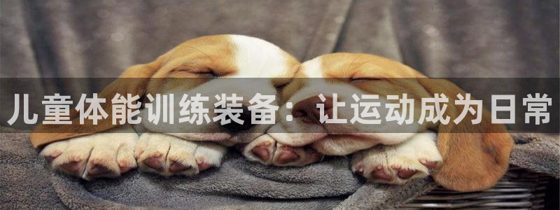 凯捷体育代理：儿童体能训练装备：让运动成为日常