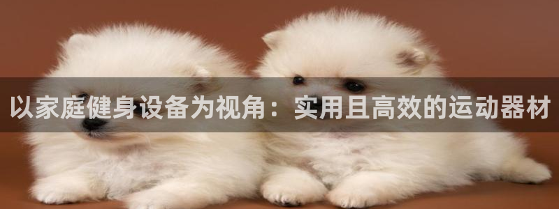 凯捷体育集团logo：以家庭健身设备为视角：实用且高