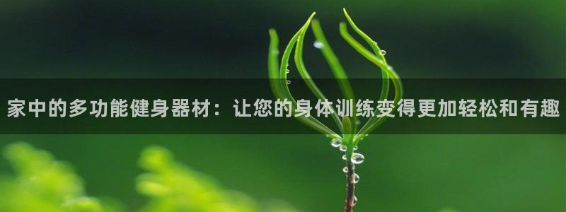 凯捷体育娱乐网站：家中的多功能健身器材：让您的身体训