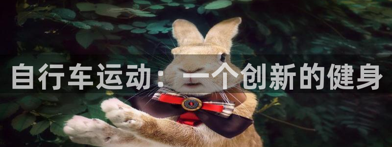 凯捷体育代理：自行车运动：一个创新的健身