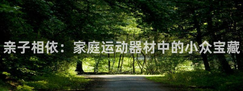 凯捷体育开户：亲子相依：家庭运动器材中的小众宝藏