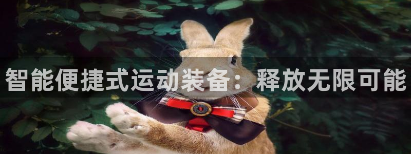 凯捷体育官网：智能便捷式运动装备：释放无限可能