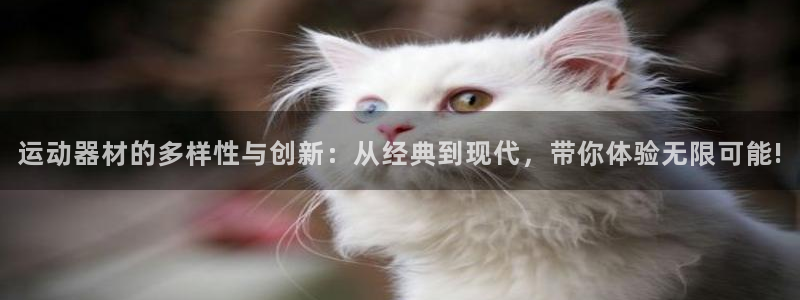 凯捷体育集团官网首页网址