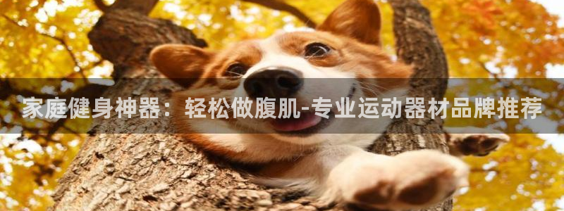 凯捷体育招商电话号码是多少：家庭健身神器：轻松做腹肌-专业运
