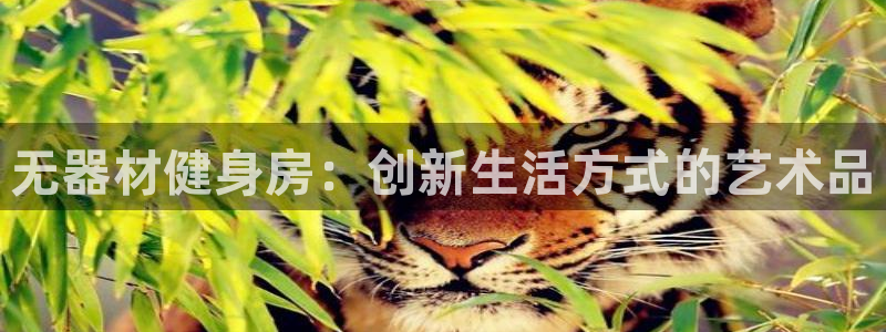 凯捷体育集团E.ON：无器材健身房：创新生活方式的艺术品