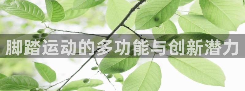 凯捷体育集团官网首页：脚踏运动的多功能与创新潜力